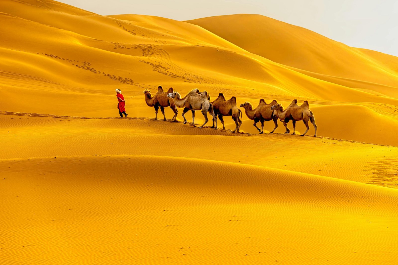 Morocco Rising